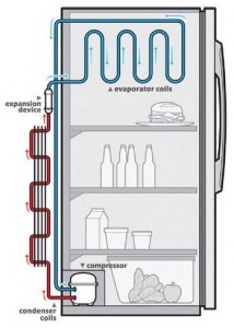 How a Refrigerator Works