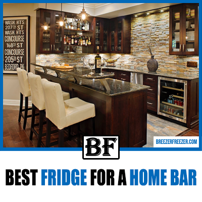 Best Fridge For A Home Bar 2023 review