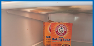 Can-You-Use-The-Fridge-N-Freezer-Baking-Soda-For-Cooking