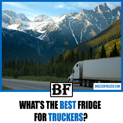 Top 5 best fridges for truckers in 2022 full review