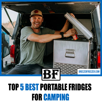 Top 5 Best Portable Fridges For Camping In 2023