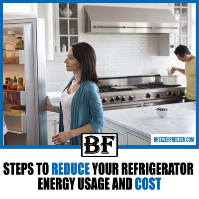 10 Steps To Reduce Your Refrigerator Energy Usage And Cost