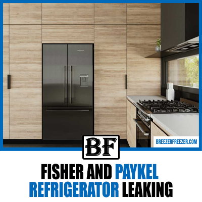 Fisher And Paykel Refrigerator Leaking