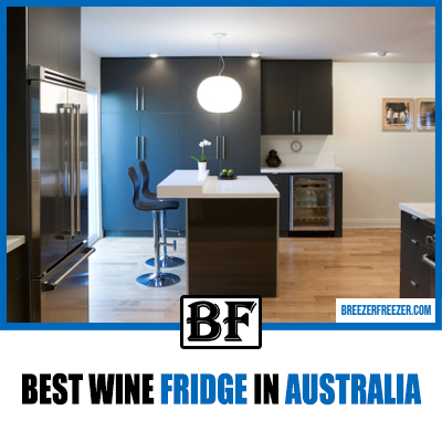 Best Wine Fridge In Australia