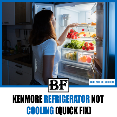 Kenmore Refrigerator Not Cooling (Quick Fix)