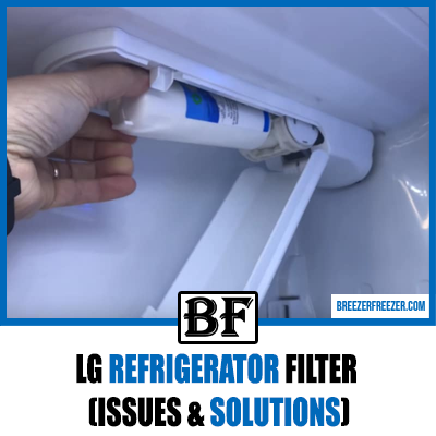 LG Refrigerator Filter (Issues & Solutions)