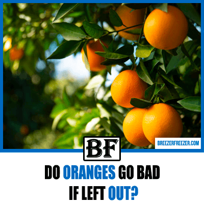 Do oranges go bad if left out?