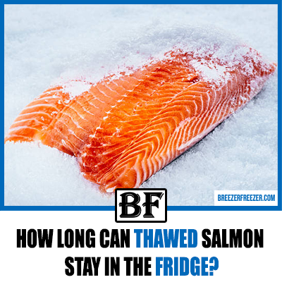 How Long Can Thawed Salmon Stay in the Fridge?