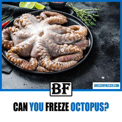 Can You Freeze Octopus?