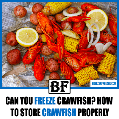 Can you freeze Crawfish? How to store Crawfish properly