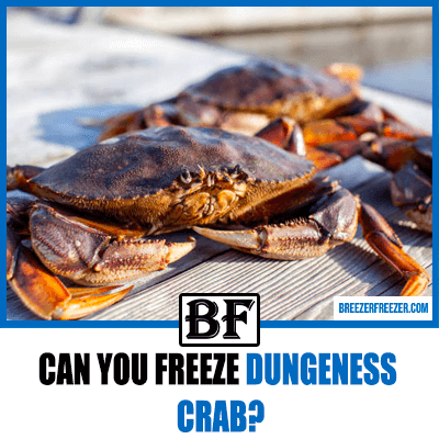 Can you freeze Dungeness crab?