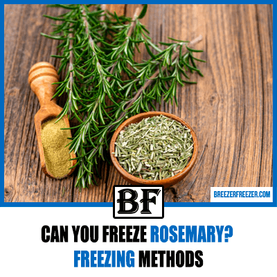 Can you freeze Rosemary? Freezing methods