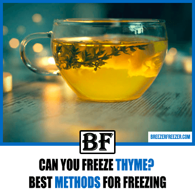 Can you freeze Thyme? Best methods for freezing