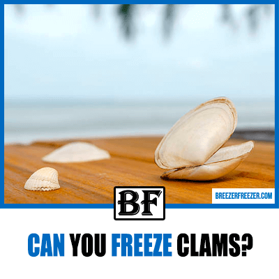 Can you freeze clams?