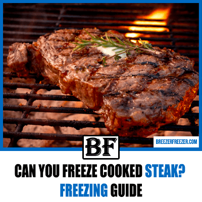 Can you freeze cooked steak? Freezing guide