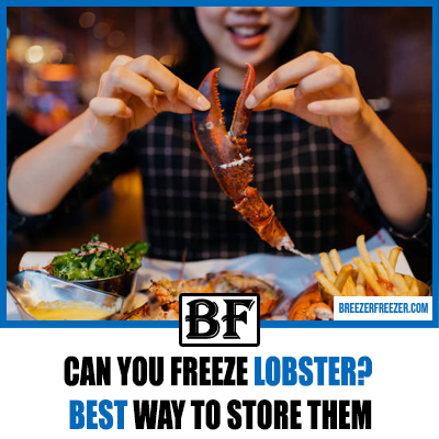 Can you freeze lobster? Best way to store them