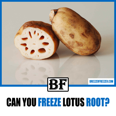 Can you freeze lotus root?