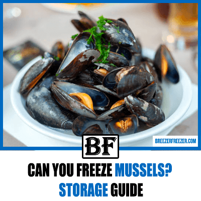 Can you freeze mussels? Storage guide