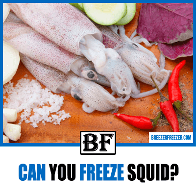Can you freeze squid? Freezing method and guide