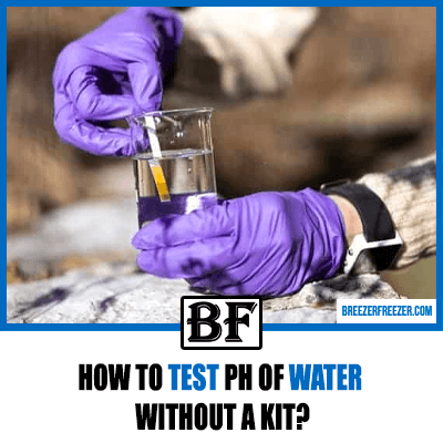 How To Test pH Of Water Without A Kit?