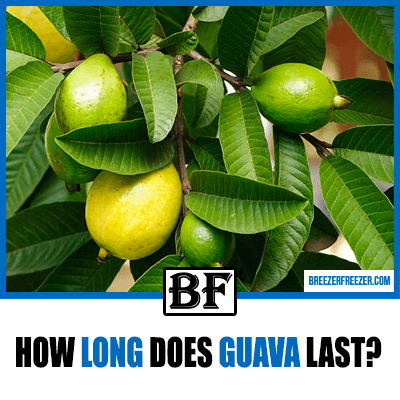 How long does Guava last? Tips to keep them fresh