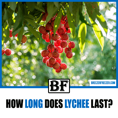 How long does Lychee last?