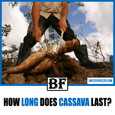 How long does cassava last? How to keep these root vegetables fresh