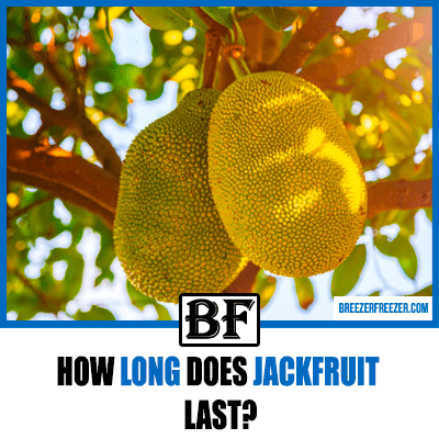 How long does jackfruit last?