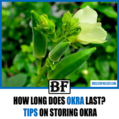 How long does okra last? Tips on storing Okra