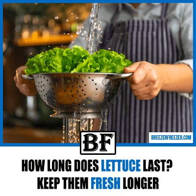 How Long Does Lettuce Last? Keep Them Fresh Longer
