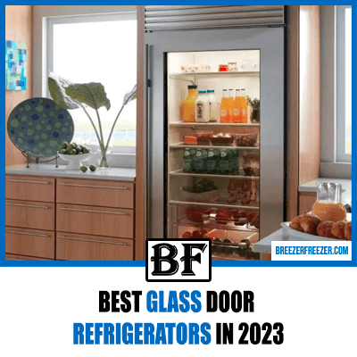 Best Glass Door Refrigerators in 2023