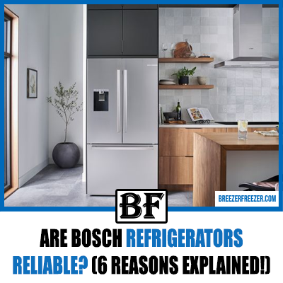 Are Bosch Refrigerators Reliable? (6 Reasons Explained!)