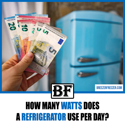How Many Watts Does a Refrigerator Use Per Day? (Explained!)
