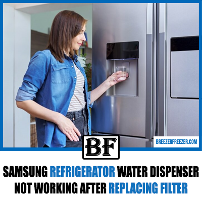 Samsung Refrigerator Water Dispenser Not Working After Replacing Filter